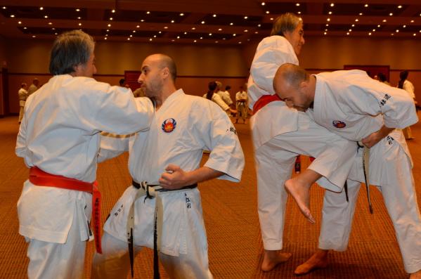 Oshukai Karaté Kobudo Strasbourg / Karaté Self Defense