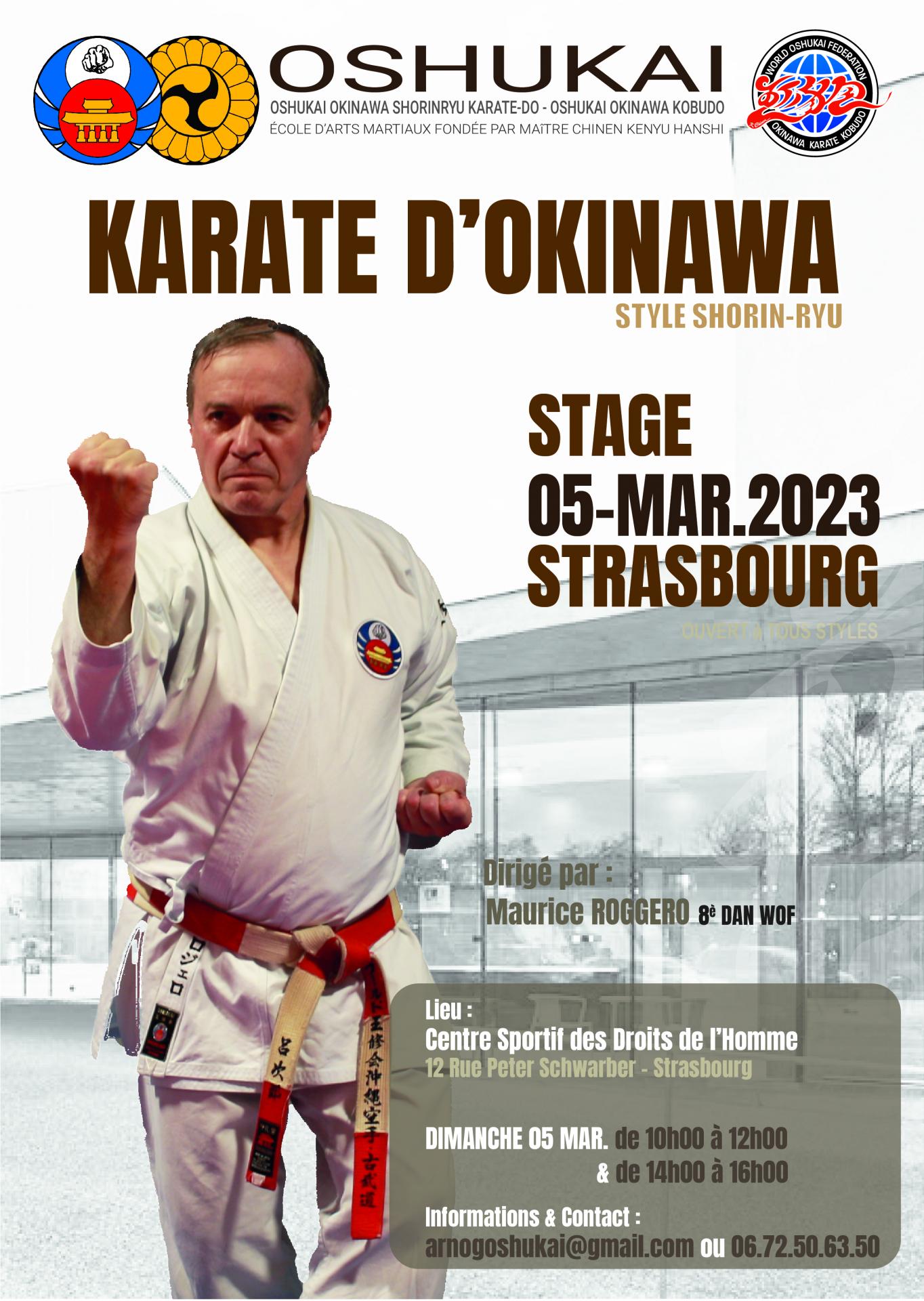 Stage strasbourg karate