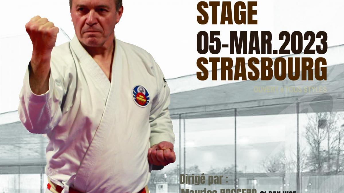 Stage strasbourg karate