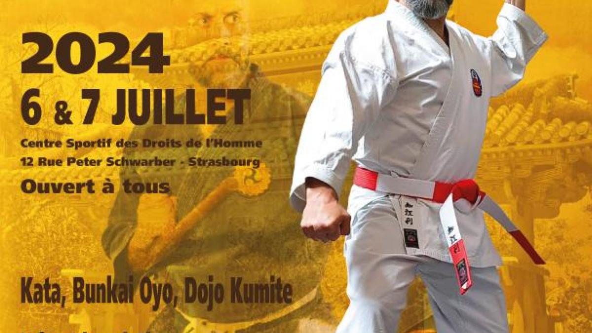 Participez au Stage de Karaté et Kobudo à Strasbourg - 6 et 7 Juillet 2024